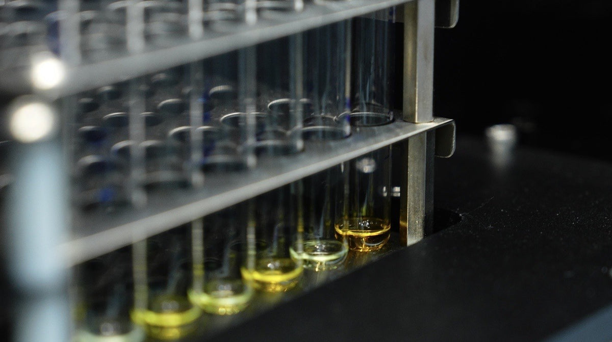 Close-up of ELISA test vials with sample liquid in a laboratory rack